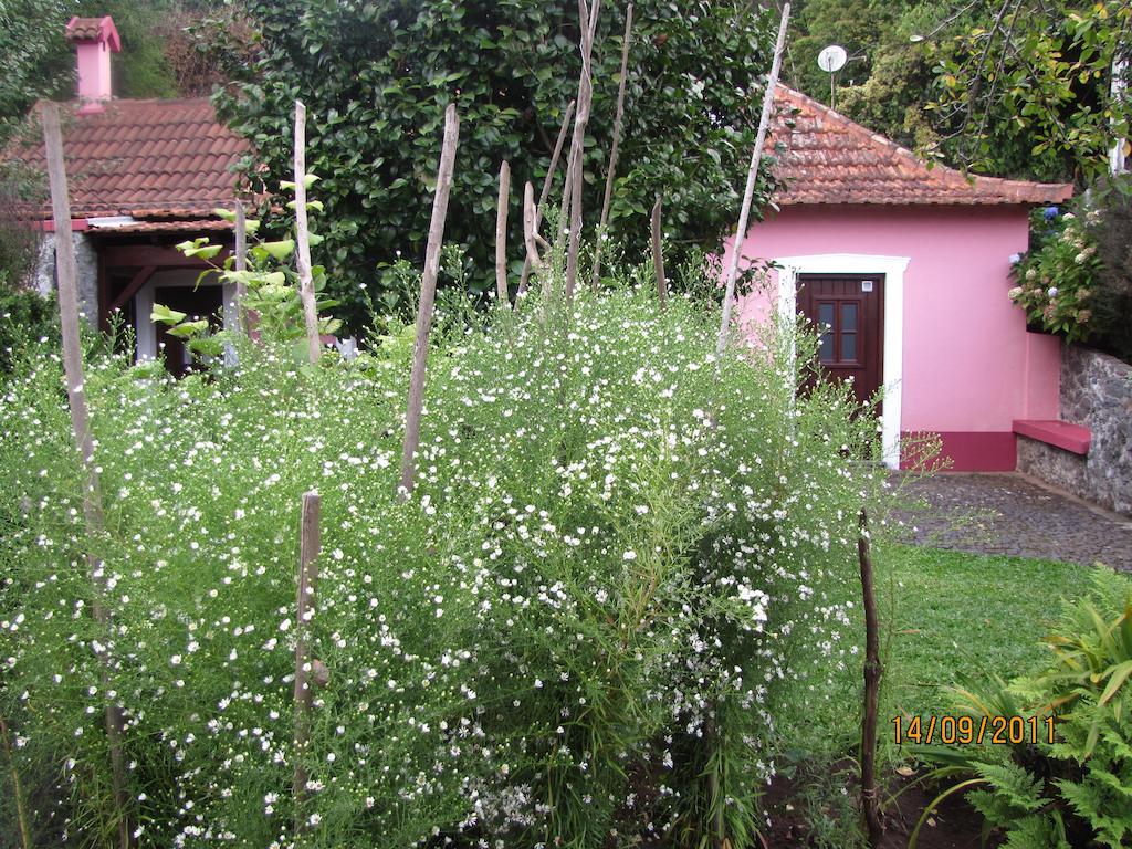 Willa Casa Rosa Camacha  Zewnętrze zdjęcie